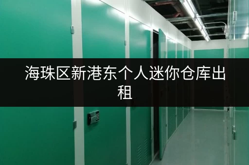 海珠区新港东个人迷你仓库出租，低价出租，多种选择