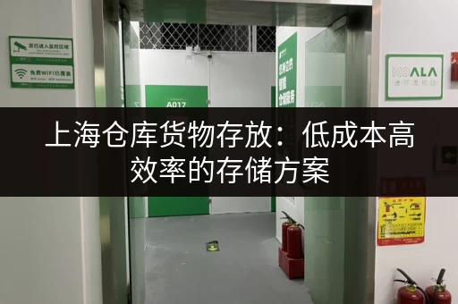 上海仓库货物存放：低成本高效率的存储方案