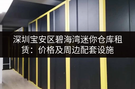 深圳宝安区碧海湾迷你仓库租赁：价格及周边配套设施