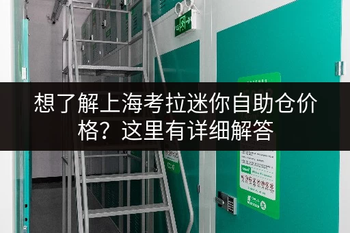 想了解上海考拉迷你自助仓价格？这里有详细解答