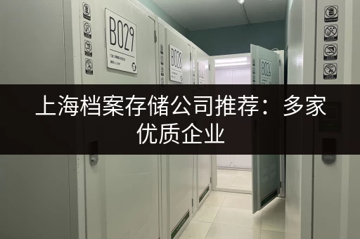上海档案存储公司推荐：多家优质企业，选择适合您的档案服务