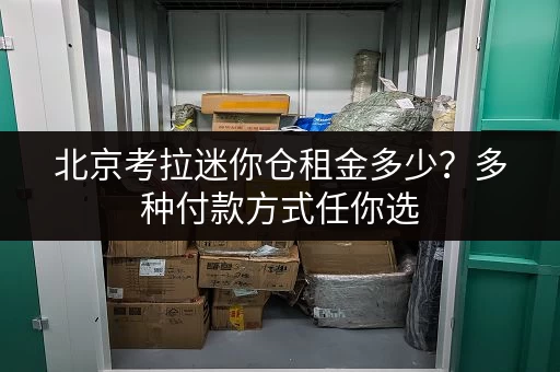 北京考拉迷你仓租金多少？多种付款方式任你选