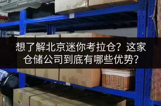 想了解北京迷你考拉仓？这家仓储公司到底有哪些优势？