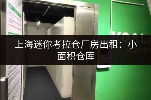 上海迷你考拉仓厂房出租：小面积仓库，日租月租，灵活选择！