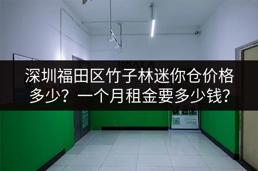 深圳福田区竹子林迷你仓价格多少？一个月租金要多少钱？