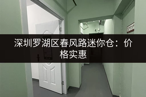 深圳罗湖区春风路迷你仓：价格实惠，空间灵活