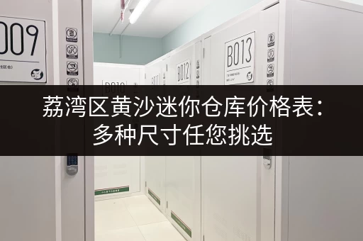 荔湾区黄沙迷你仓库价格表：多种尺寸任您挑选