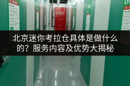 北京迷你考拉仓具体是做什么的？服务内容及优势大揭秘