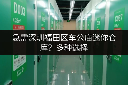急需深圳福田区车公庙迷你仓库？多种选择，满足您的需求