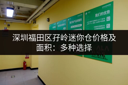 深圳福田区孖岭迷你仓价格及面积：多种选择，总有一款适合你！