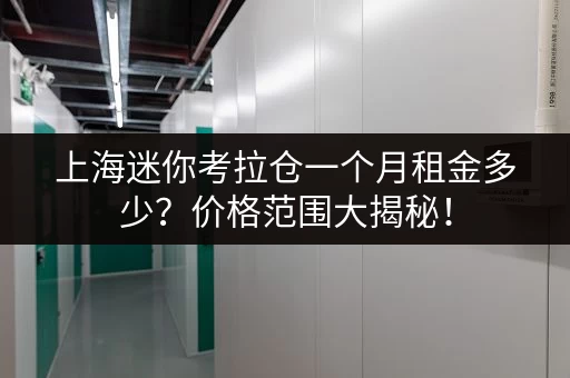 上海迷你考拉仓一个月租金多少？价格范围大揭秘！