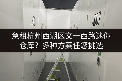 急租杭州西湖区文一西路迷你仓库？多种方案任您挑选