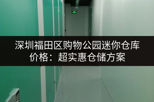 深圳福田区购物公园迷你仓库价格：超实惠仓储方案