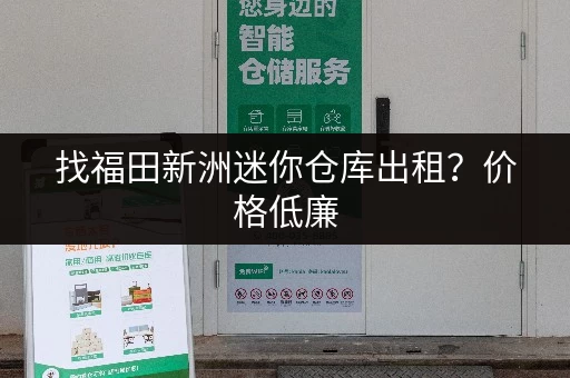 找福田新洲迷你仓库出租？价格低廉，安全可靠！