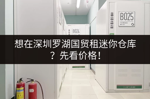 想在深圳罗湖国贸租迷你仓库？先看价格！