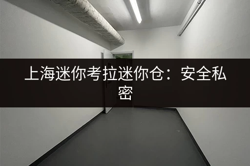 上海迷你考拉迷你仓：安全私密，就在你家附近