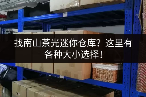 找南山茶光迷你仓库？这里有各种大小选择！