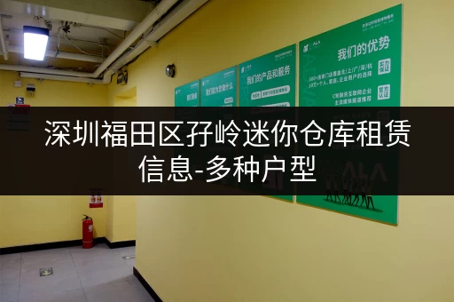 深圳福田区孖岭迷你仓库租赁信息-多种户型，任您挑选