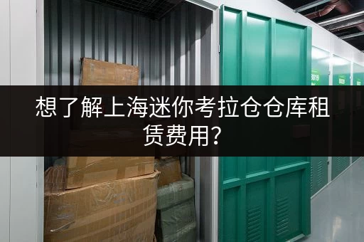 想了解上海迷你考拉仓仓库租赁费用？