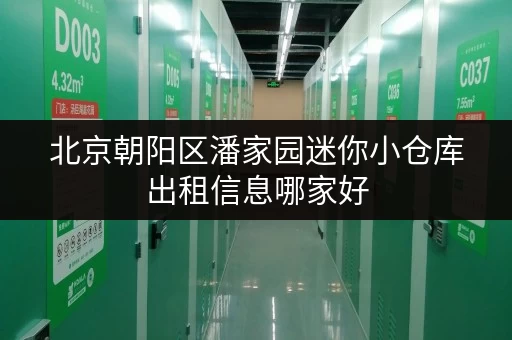 北京朝阳区潘家园迷你小仓库出租信息哪家好