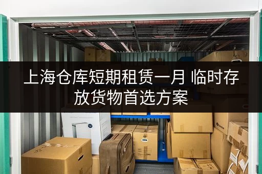 上海仓库短期租赁一月 临时存放货物首选方案