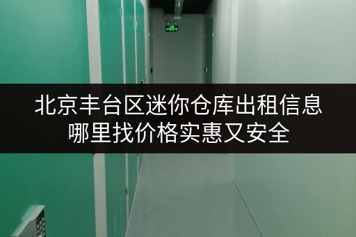 北京丰台区迷你仓库出租信息哪里找价格实惠又安全