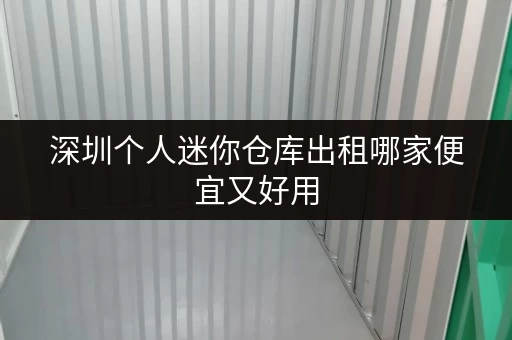 深圳个人迷你仓库出租哪家便宜又好用
