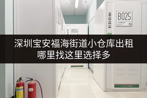 深圳宝安福海街道小仓库出租哪里找这里选择多