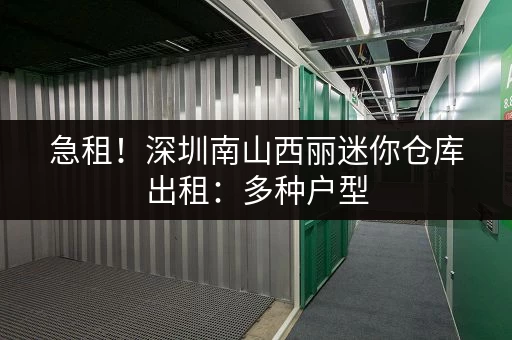 急租！深圳南山西丽迷你仓库出租：多种户型，立即咨询！