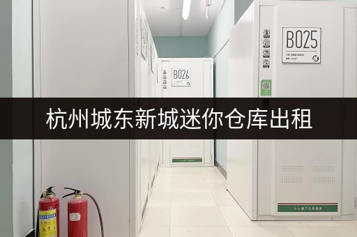 杭州城东新城迷你仓库出租，位置优越，交通便利，安全可靠！
