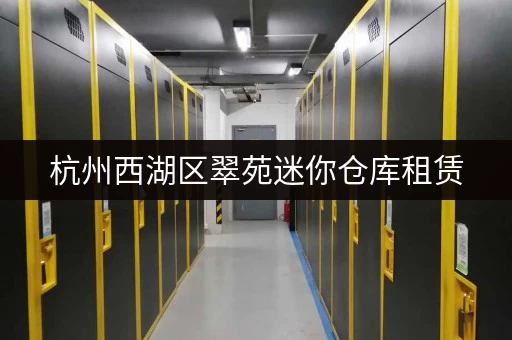 杭州西湖区翠苑迷你仓库租赁，价格实惠，空间灵活