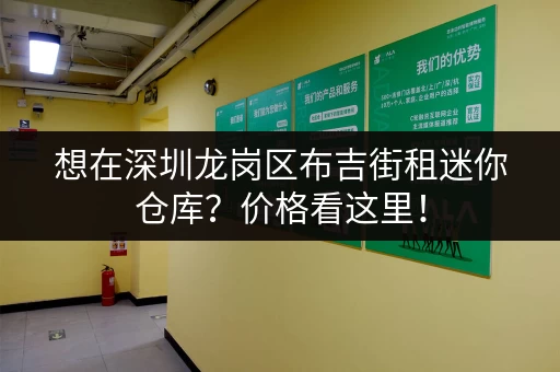 想在深圳龙岗区布吉街租迷你仓库？价格看这里！