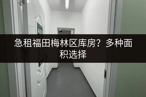 急租福田梅林区库房？多种面积选择，满足您的仓储需求！