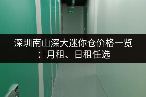 深圳南山深大迷你仓价格一览：月租、日租任选，适合各种存储需求！