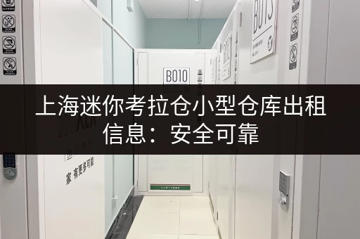 上海迷你考拉仓小型仓库出租信息：安全可靠，24小时监控