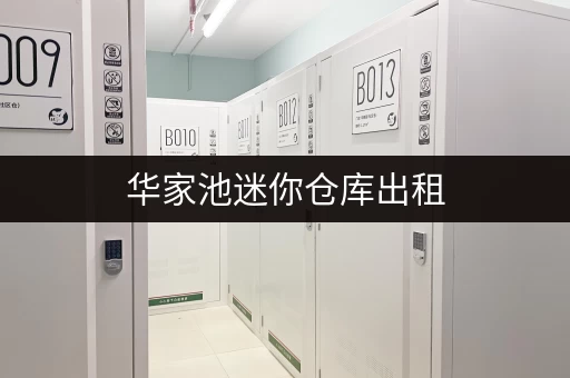 华家池迷你仓库出租，价格实惠，空间灵活可选