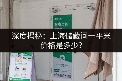 深度揭秘：上海储藏间一平米价格是多少？
