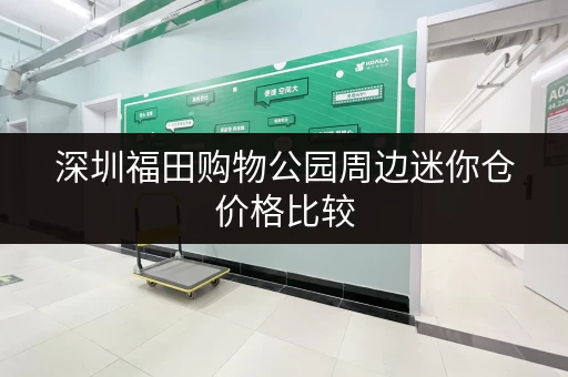 深圳福田购物公园周边迷你仓价格比较，哪家性价比最高？