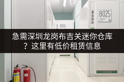 急需深圳龙岗布吉关迷你仓库？这里有低价租赁信息