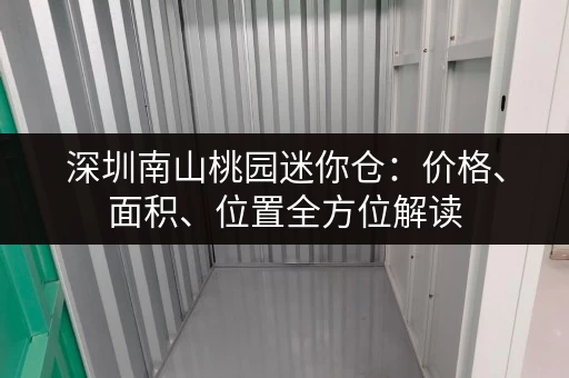 深圳南山桃园迷你仓：价格、面积、位置全方位解读