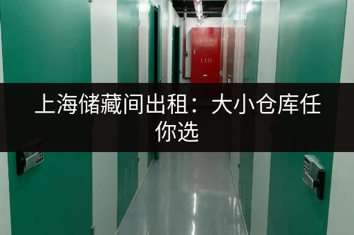 上海储藏间出租：大小仓库任你选，解决您的收纳难题！