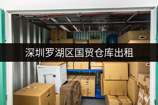 深圳罗湖区国贸仓库出租，价格实惠，面积可选