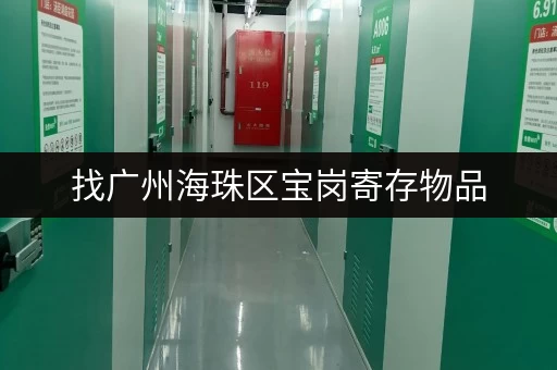 找广州海珠区宝岗寄存物品，有哪些值得推荐的点？