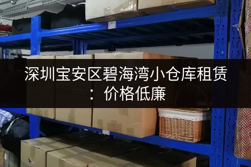 深圳宝安区碧海湾小仓库租赁：价格低廉，多种面积可选