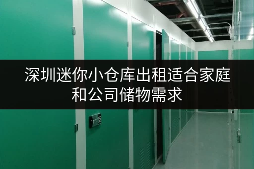 深圳迷你小仓库出租适合家庭和公司储物需求 深圳迷你小仓库出租适合家庭和公司储物需求