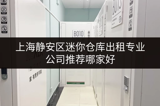 上海静安区迷你仓库出租专业公司推荐哪家好