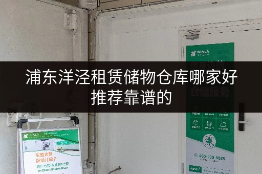 浦东洋泾租赁储物仓库哪家好推荐靠谱的