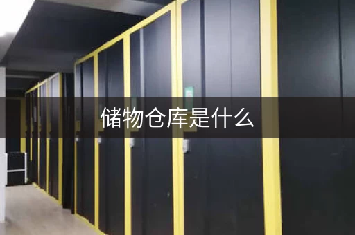 自助迷你储物仓库是什么，考拉迷你储物仓库服务