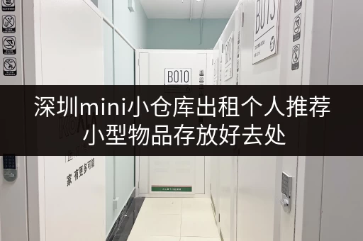 深圳mini小仓库出租个人推荐 小型物品存放好去处