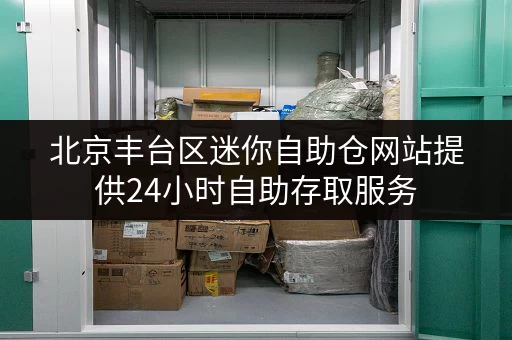 北京丰台区迷你自助仓网站提供24小时自助存取服务 北京丰台区迷你自助仓网站提供24小时自助存取服务
